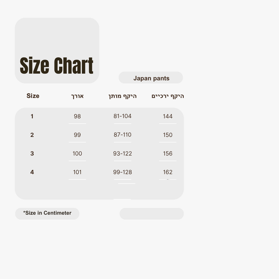 Japan tailored pants - Black