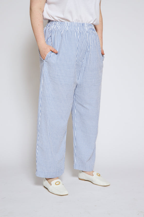 Earth pants - Blue stripes